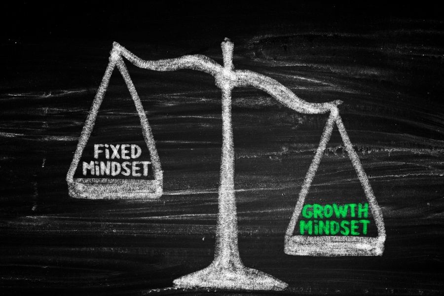 fixed mindset and growth mindset