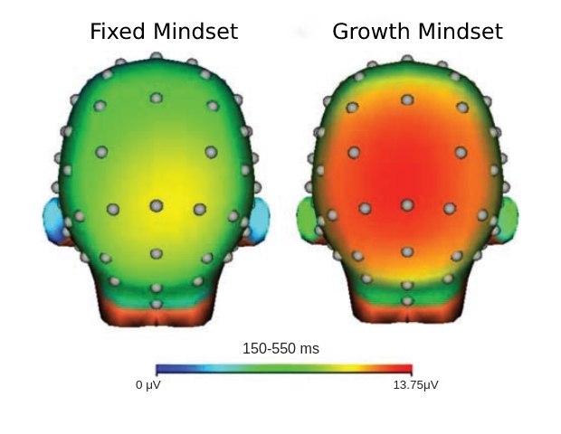 Fixed Mindset and growth mindset