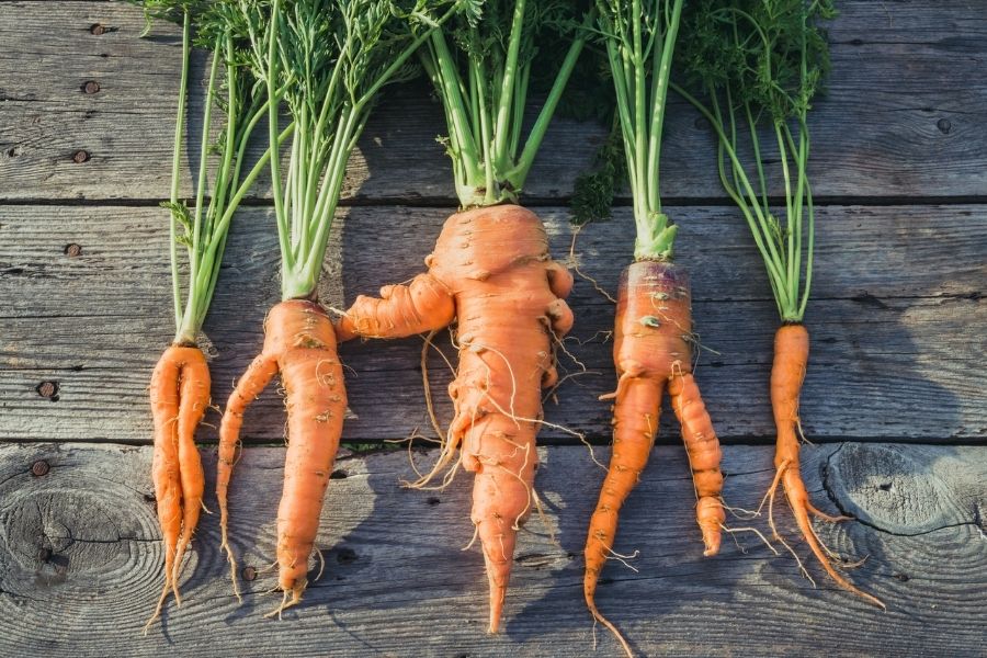 Imperfection in the carrots