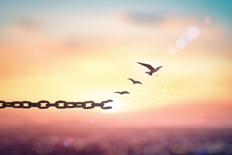 A chain turned to a bunch of birds symbolized forgiveness 