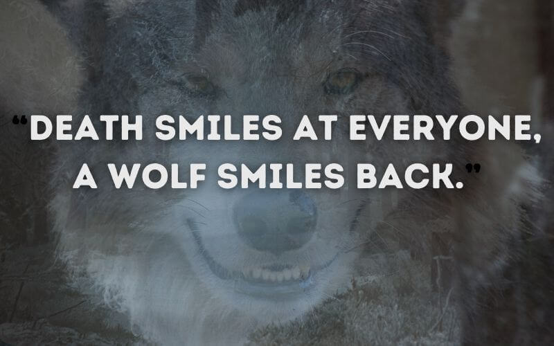 “Death smiles at everyone, a wolf smiles back.