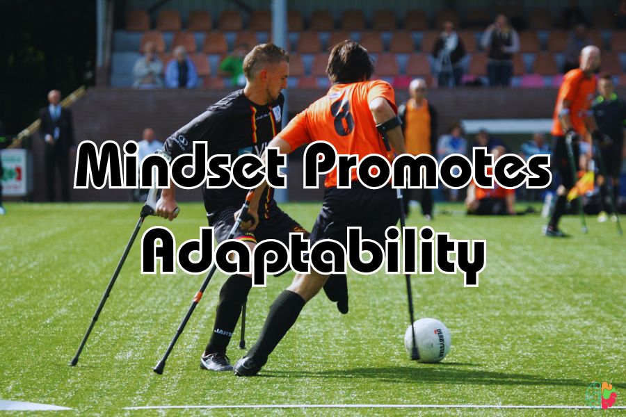 Mindset Promotes Adaptability