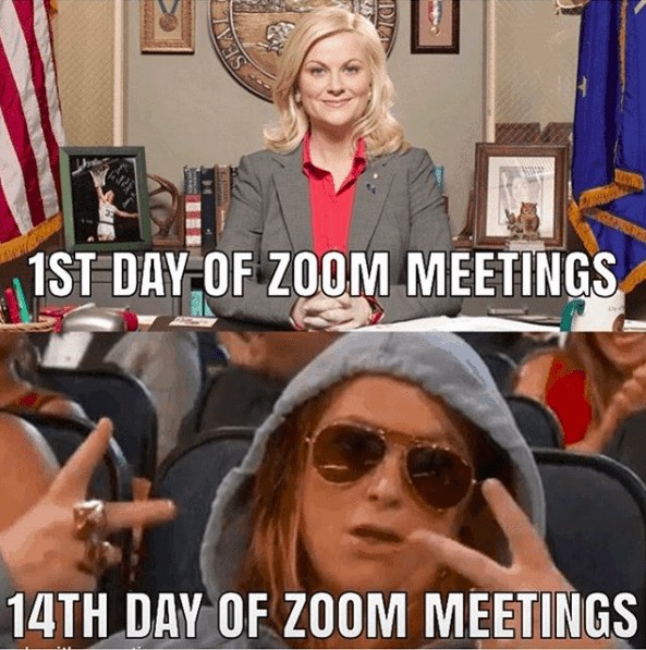 Zoom meeting meme