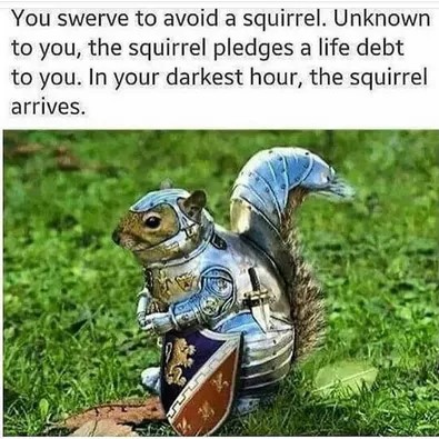 squirrel meme