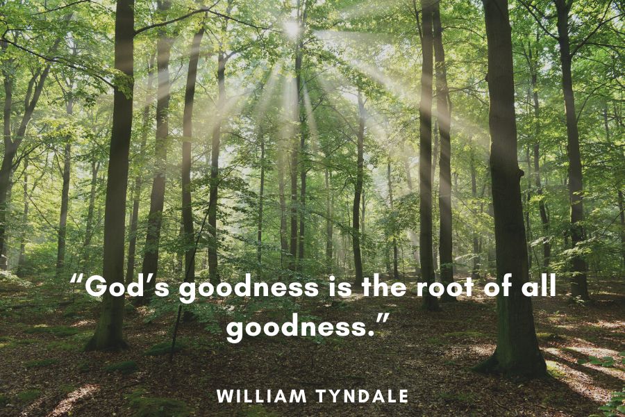 A beautiful nature with a quote from William Tyndale about god