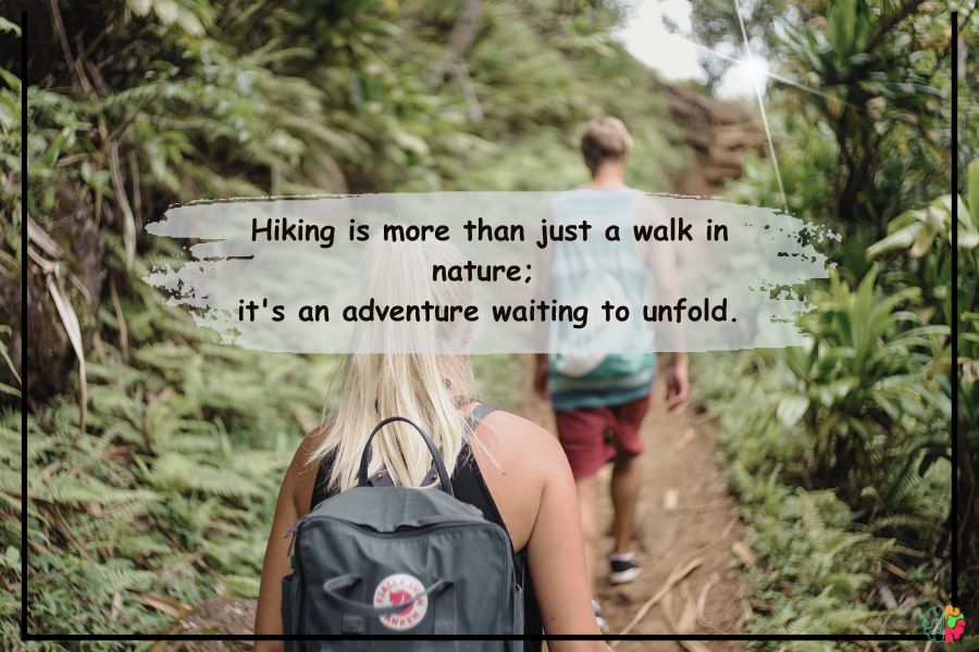 Hiking: Embrace the trails