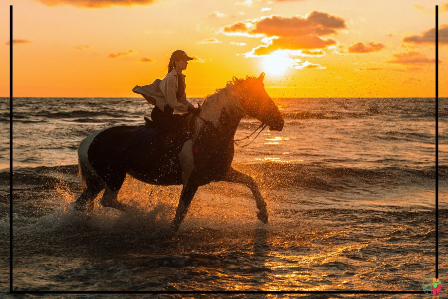 Horseback Riding: Saddle up for an adventure