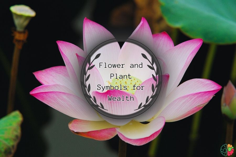 Flower and Plant Symbols for Wealth