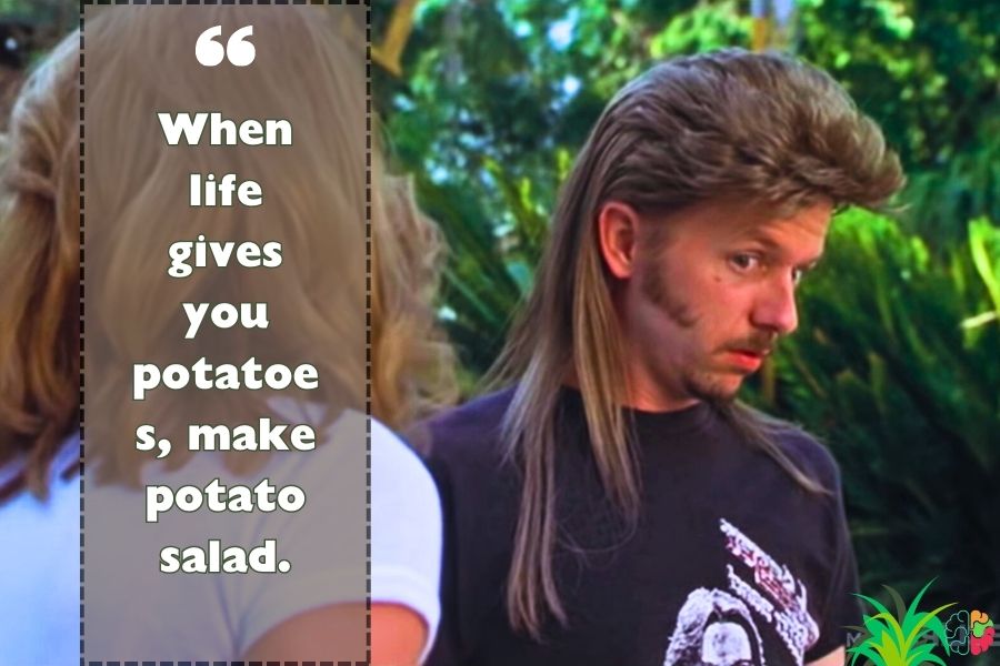 Joe Dirt