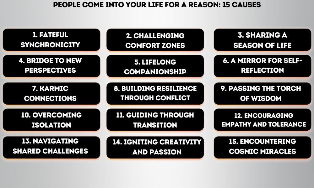 infographic about People Come Into Your Life For A Reason: 15 Causes