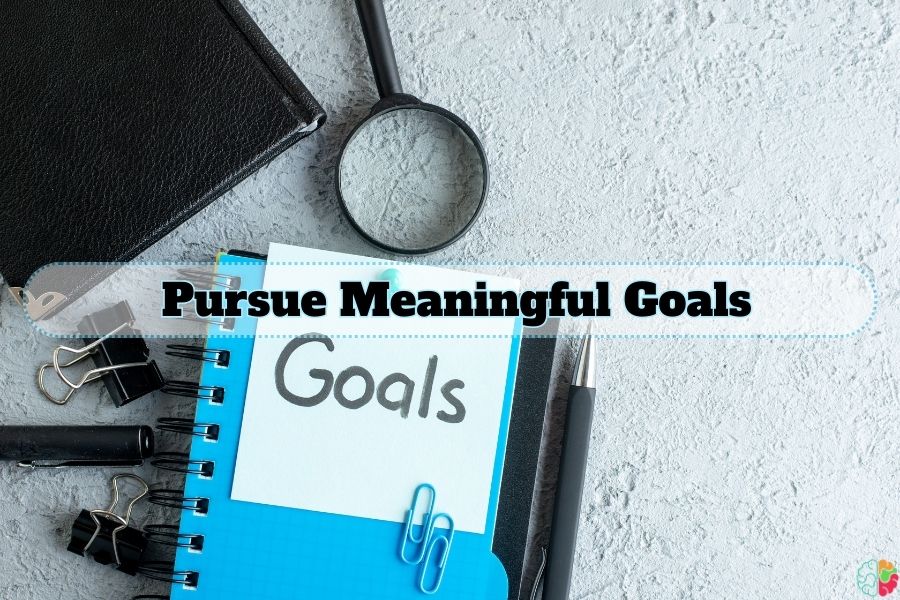 Pursue Meaningful Goals