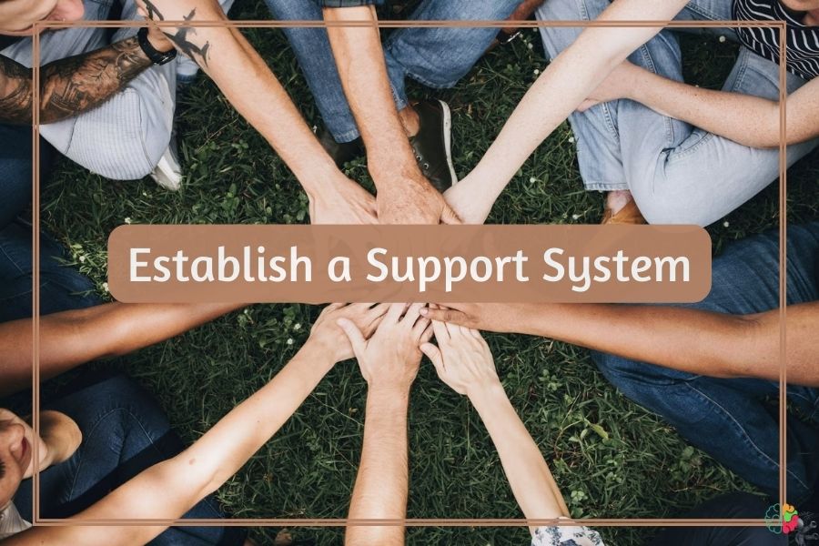 Establish a Support System