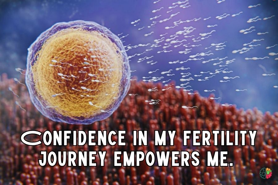 Confidence in my fertility journey