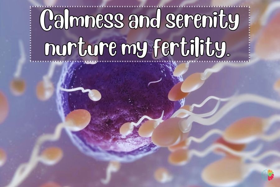 Affirmations for Embracing Fertility