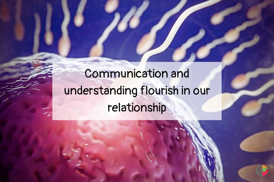 Communication and understanding