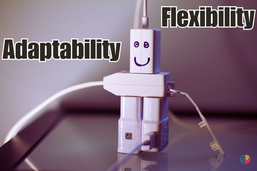 Adaptability and Flexibility