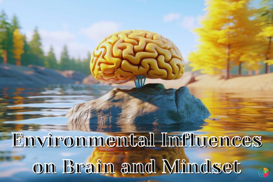 Environmental Influences on Brain and Mindset