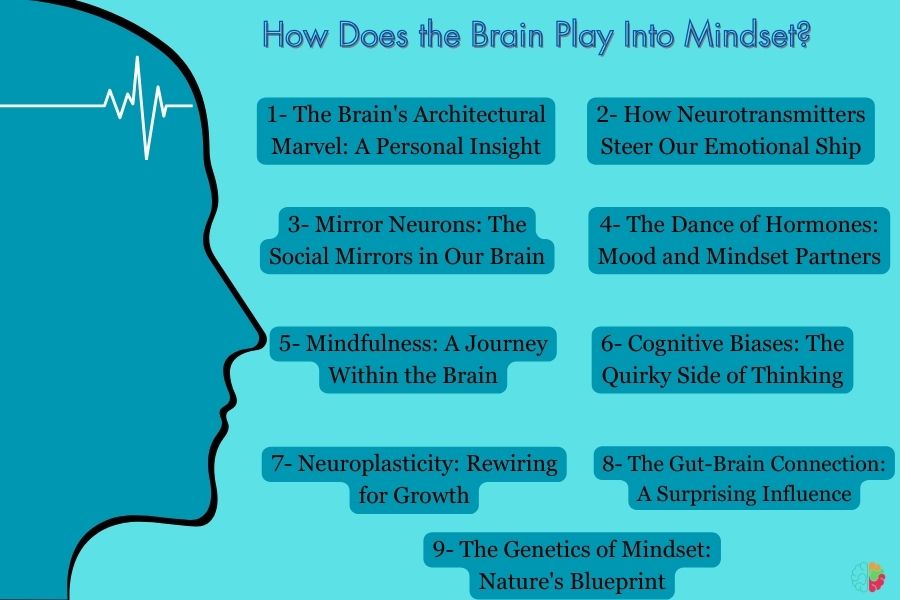 How Does the Brain Play Into Mindset (1)