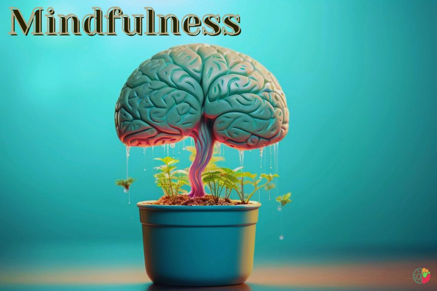 Mindfulness: A Journey Within the Brain