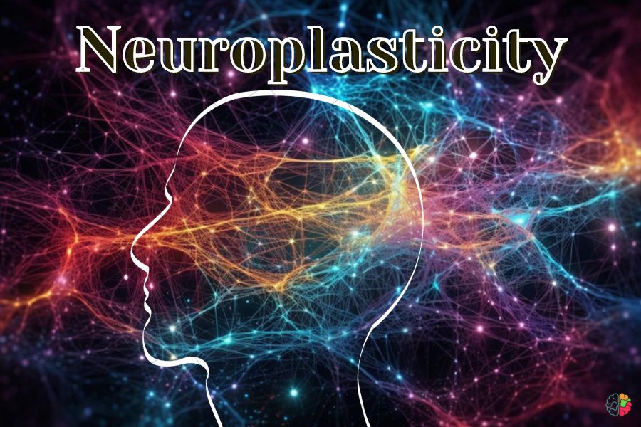 Neuroplasticity: Rewiring for Growth