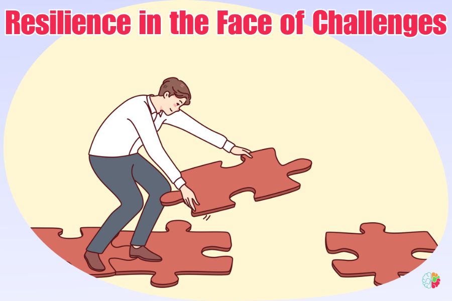 Resilience in the Face of Challenges