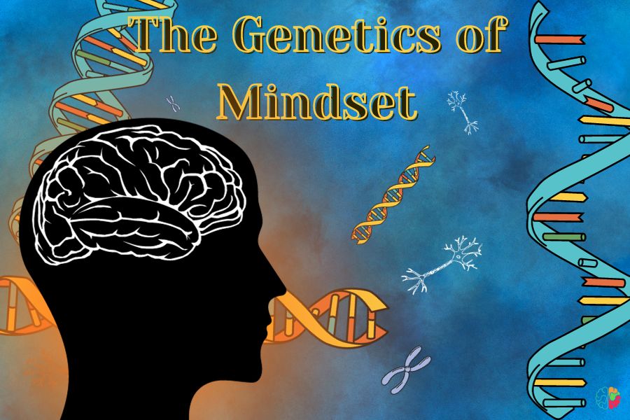 The Genetics of Mindset: Nature's Blueprint