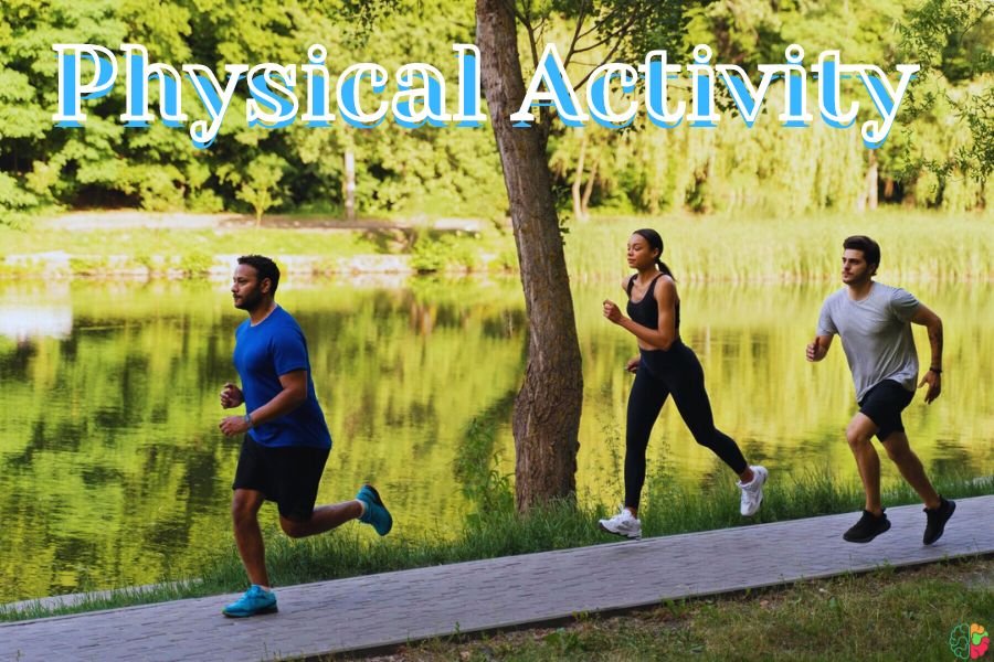 Physical Activity 