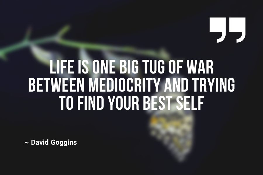 Life is one big tug of war between mediocrity and trying to find your best self