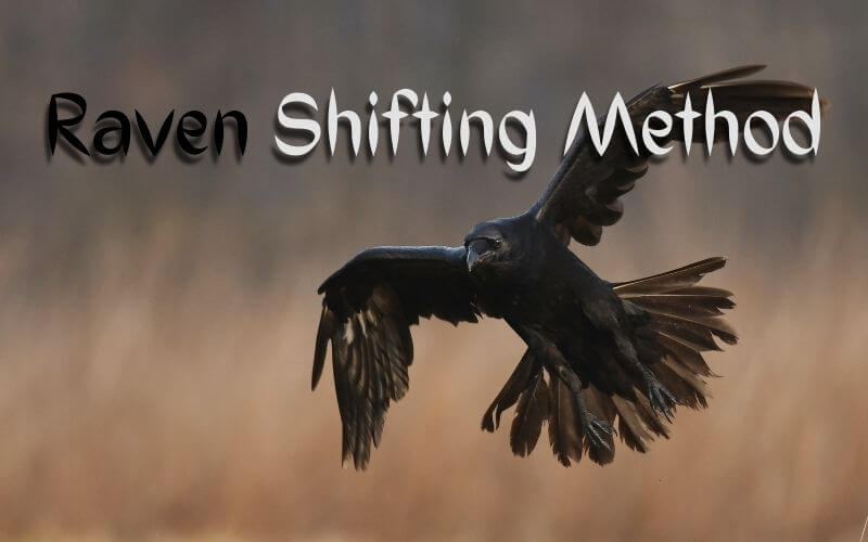 A raven flying and raven shifting method text 