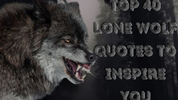 Top 40 Lone Wolf Quotes to Inspire You