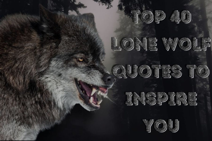 My Favorite Top 50 Lone Wolf Quotes For 2024 Mindsetopia