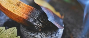 A close up image of burning Holy Wood and bay leaf in an abalone shell.