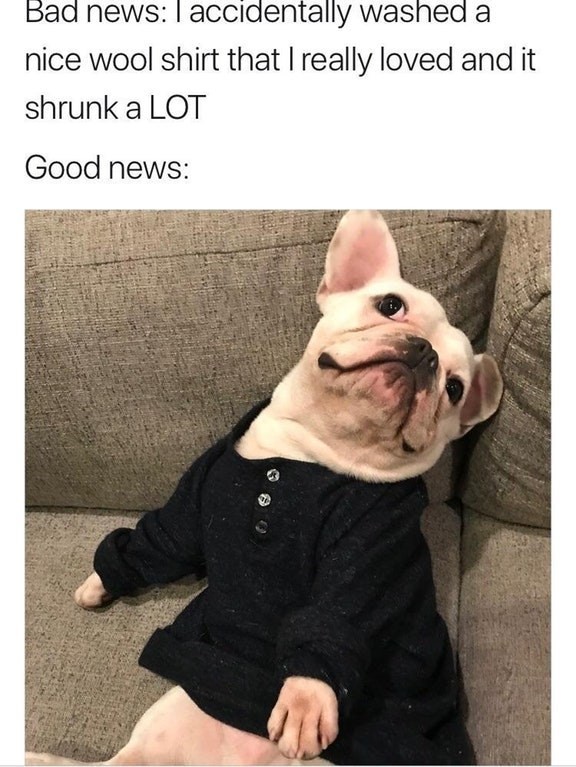 A dog meme in shirt