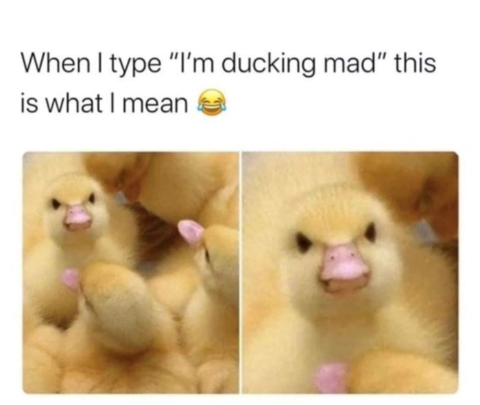 Ducking Mad meme