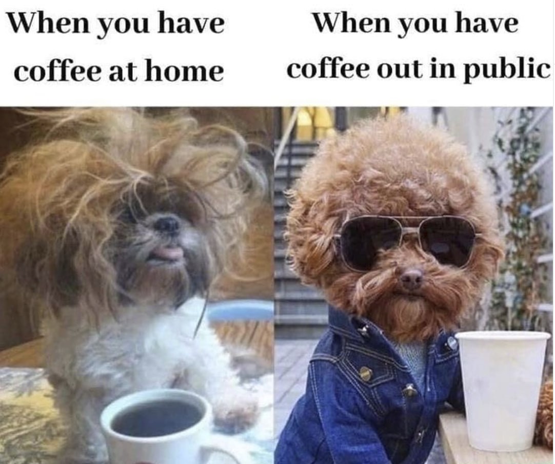 Two dogs coffee meme