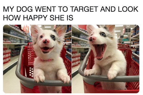 A happy dog for Retail Therapy meme