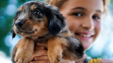 A little girl holding up a black puppy in her hands representing ways toget approved for an ESA