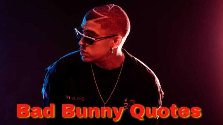 bad bunny quotes