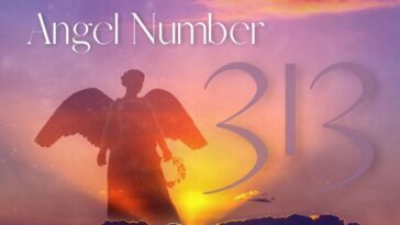 313 Angel Number