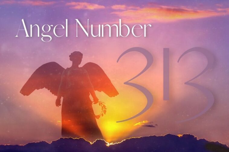 313 Angel Number