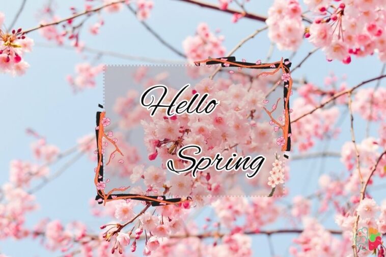 45 Best April Quotes To Welcome Spring [2023]